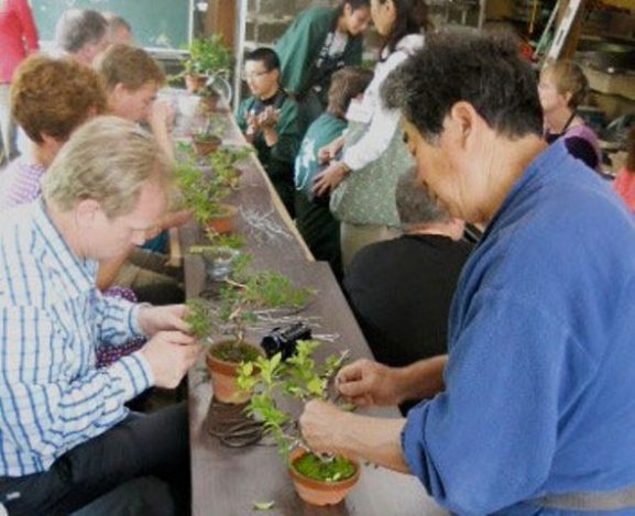 Museum Shunkaen Milik Sang Master Bonsai 01