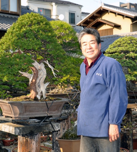 Museum Shunkaen Milik Sang Master Bonsai 02