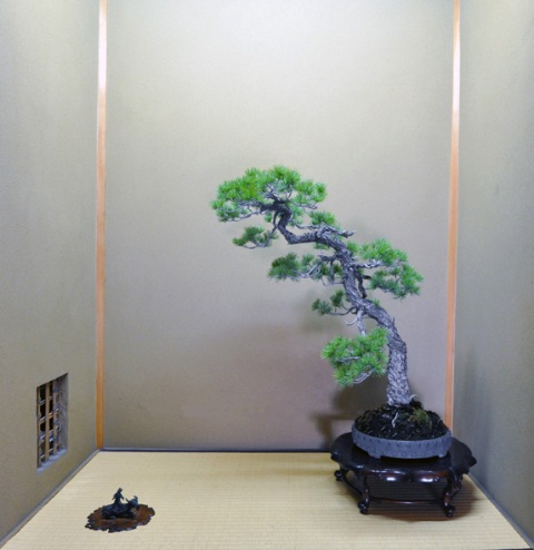 Museum Shunkaen Milik Sang Master Bonsai 21