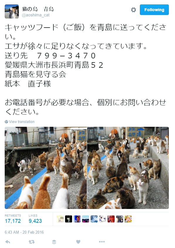 Pulau Kucing di Jepang ini Meminta Bantuan Makanan