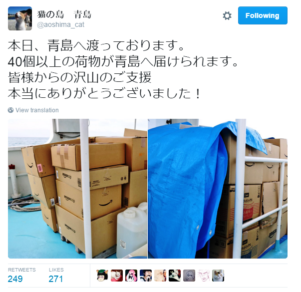 Pulau Kucing di Jepang ini Meminta Bantuan Makanan