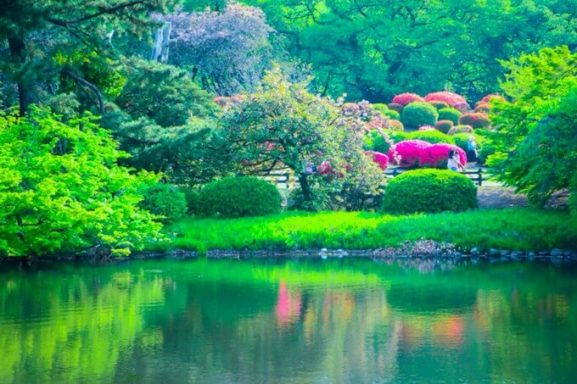 10 Spot Pemandangan Terbaik di Jepang