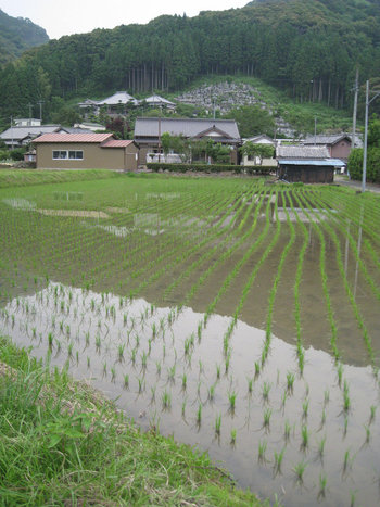 Kota Kecil di Jepang
