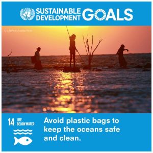 Sustainable Development Goals