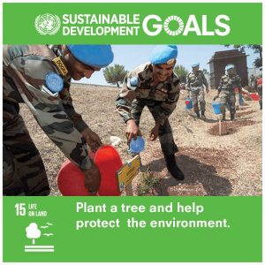 Sustainable Development Goals