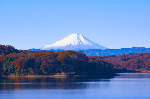 Pertama Kali di Tokyo? Inilah 5 Hal yang Harus Anda Lakukan