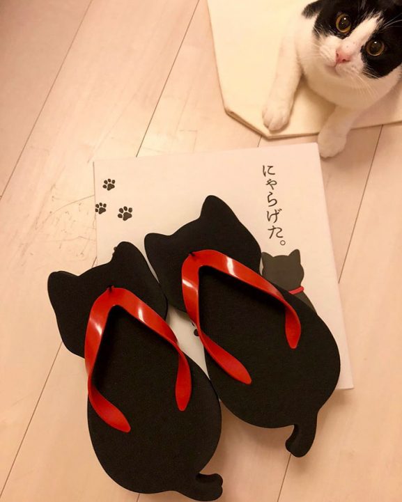 Sandal Jepang Berbentuk Kucing Sangat Menggemaskan