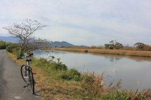 Negara paling Ramah Sepeda di Asia