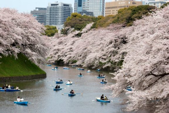 Tur Virtual Jepang